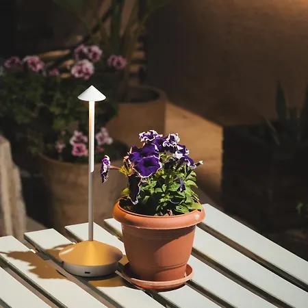 Lignum Chania خانيا