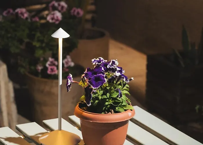 Lignum Chania Ханья